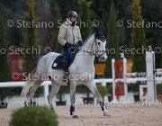 Berlin Tosc Tour2013- S5 1827 : Arezzo, Berlin, Cavalli d'Italia, Toscana Tour 2013, foto di Stefano Secchi ©